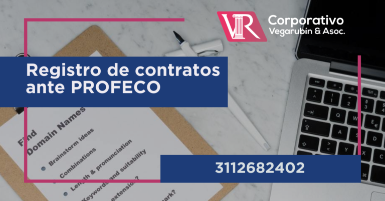 contrato que son obligatorios de registrar en PROFECO